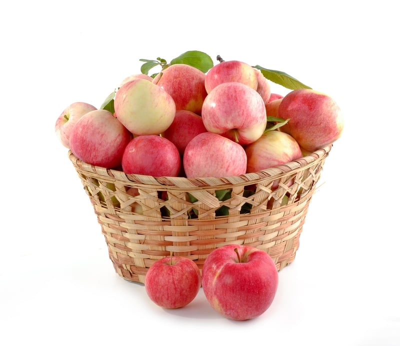 Fruitful Bounty