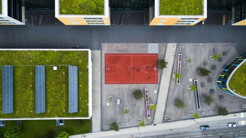 Rooftop Fields