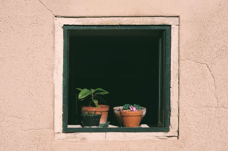 Window Sill Haven